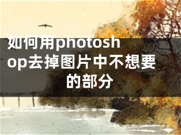 如何用photoshop去掉圖片中不想要的部分