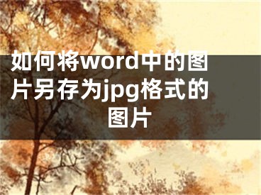 如何將word中的圖片另存為jpg格式的圖片