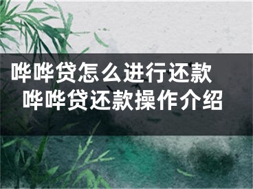 嘩嘩貸怎么進行還款 嘩嘩貸還款操作介紹