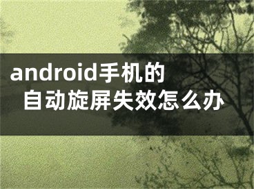 android手機(jī)的自動(dòng)旋屏失效怎么辦