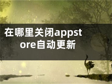 在哪里關(guān)閉appstore自動(dòng)更新