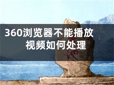 360瀏覽器不能播放視頻如何處理