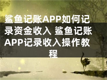 鯊魚(yú)記賬APP如何記錄資金收入 鯊魚(yú)記賬APP記錄收入操作教程