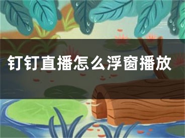 釘釘直播怎么浮窗播放