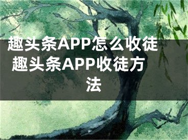 趣頭條APP怎么收徒 趣頭條APP收徒方法