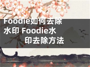 Foodie如何去除水印 Foodie水印去除方法