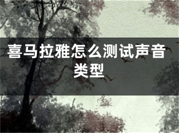 喜馬拉雅怎么測試聲音類型