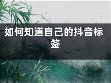 如何知道自己的抖音標(biāo)簽