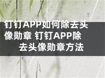 釘釘APP如何除去頭像勛章 釘釘APP除去頭像勛章方法