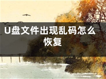 U盤文件出現(xiàn)亂碼怎么恢復(fù)