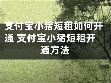 支付寶小豬短租如何開通 支付寶小豬短租開通方法