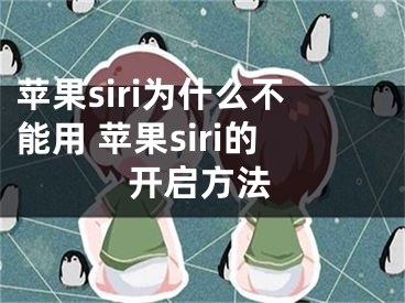 蘋果siri為什么不能用 蘋果siri的開啟方法