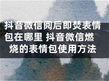 抖音微信閱后即焚表情包在哪里 抖音微信燃燒的表情包使用方法