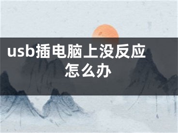 usb插電腦上沒(méi)反應(yīng)怎么辦