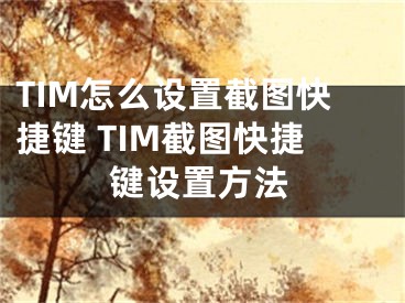 TIM怎么設(shè)置截圖快捷鍵 TIM截圖快捷鍵設(shè)置方法