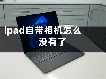 ipad自帶相機(jī)怎么沒有了