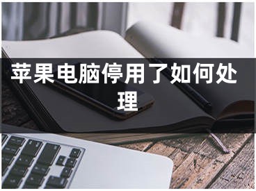 蘋(píng)果電腦停用了如何處理