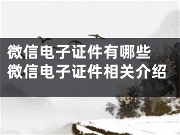 微信電子證件有哪些 微信電子證件相關(guān)介紹