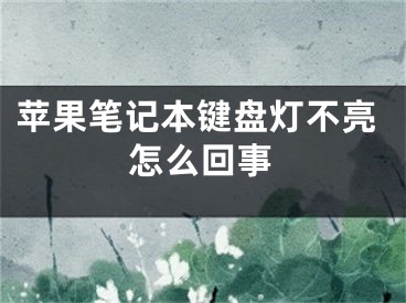 蘋(píng)果筆記本鍵盤(pán)燈不亮怎么回事