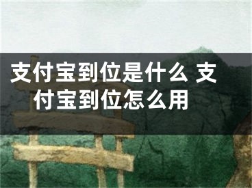 支付寶到位是什么 支付寶到位怎么用 