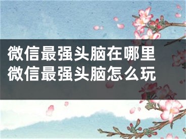 微信最強(qiáng)頭腦在哪里 微信最強(qiáng)頭腦怎么玩 