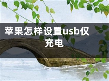 蘋果怎樣設置usb僅充電