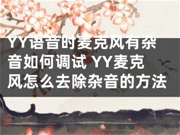 YY語音時麥克風(fēng)有雜音如何調(diào)試 YY麥克風(fēng)怎么去除雜音的方法