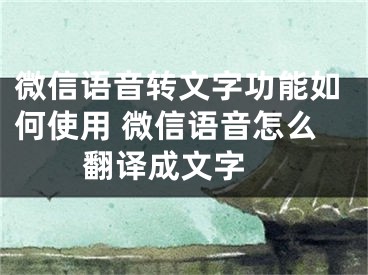 微信語音轉(zhuǎn)文字功能如何使用 微信語音怎么翻譯成文字 