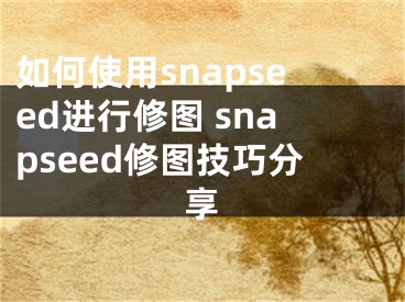 如何使用snapseed進行修圖 snapseed修圖技巧分享