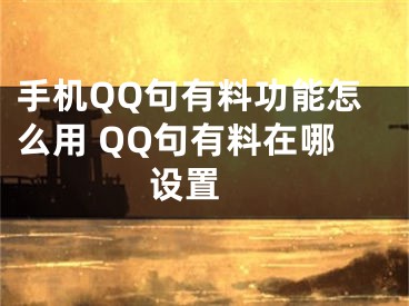 手機(jī)QQ句有料功能怎么用 QQ句有料在哪設(shè)置 