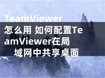 TeamViewer怎么用 如何配置TeamViewer在局域網(wǎng)中共享桌面 