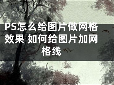 PS怎么給圖片做網(wǎng)格效果 如何給圖片加網(wǎng)格線 