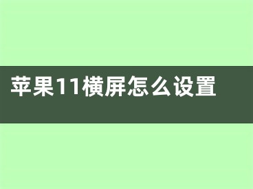 蘋果11橫屏怎么設置