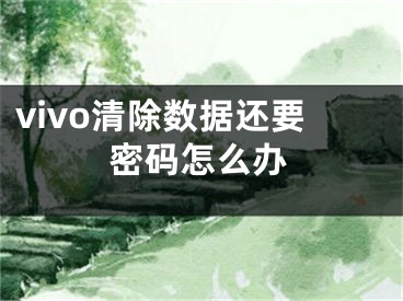 vivo清除數(shù)據(jù)還要密碼怎么辦