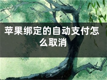 蘋果綁定的自動支付怎么取消