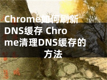 Chrome如何刷新DNS緩存 Chrome清理DNS緩存的方法