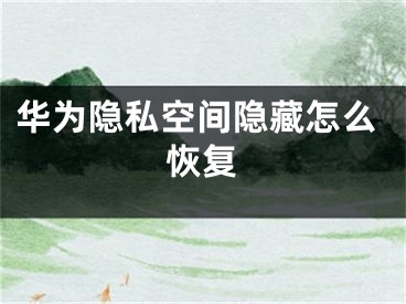 華為隱私空間隱藏怎么恢復(fù)