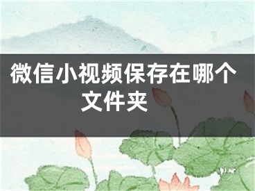 微信小視頻保存在哪個文件夾 