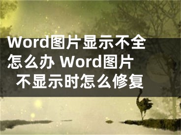 Word圖片顯示不全怎么辦 Word圖片不顯示時(shí)怎么修復(fù) 