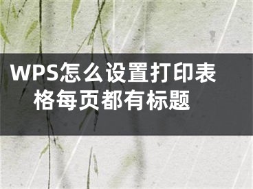 WPS怎么設(shè)置打印表格每頁都有標(biāo)題 