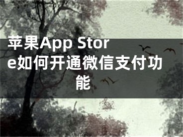 蘋果App Store如何開通微信支付功能 