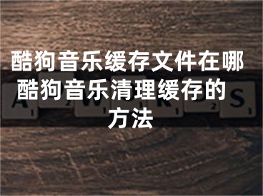 酷狗音樂緩存文件在哪 酷狗音樂清理緩存的方法