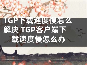 TGP下載速度慢怎么解決 TGP客戶(hù)端下載速度慢怎么辦 