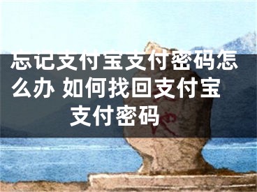 忘記支付寶支付密碼怎么辦 如何找回支付寶支付密碼 