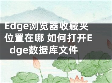 Edge瀏覽器收藏夾位置在哪 如何打開(kāi)Edge數(shù)據(jù)庫(kù)文件 