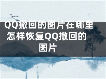 QQ撤回的圖片在哪里 怎樣恢復(fù)QQ撤回的圖片 