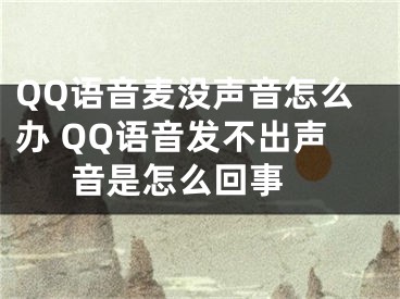 QQ語音麥沒聲音怎么辦 QQ語音發(fā)不出聲音是怎么回事 