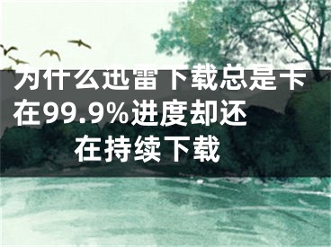 為什么迅雷下載總是卡在99.9%進度卻還在持續(xù)下載 