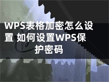 WPS表格加密怎么設(shè)置 如何設(shè)置WPS保護密碼 