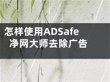 怎樣使用ADSafe凈網(wǎng)大師去除廣告 